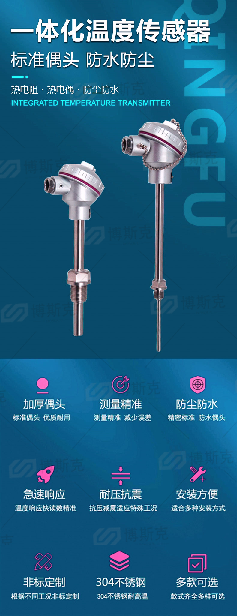 WRE-230NM耐磨热电偶(图1)
