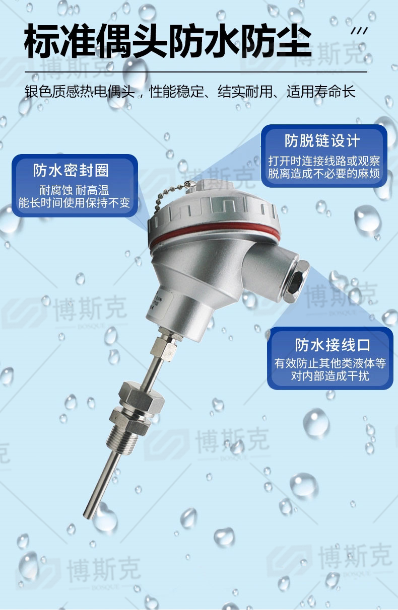 WRE-230NM耐磨热电偶(图3)