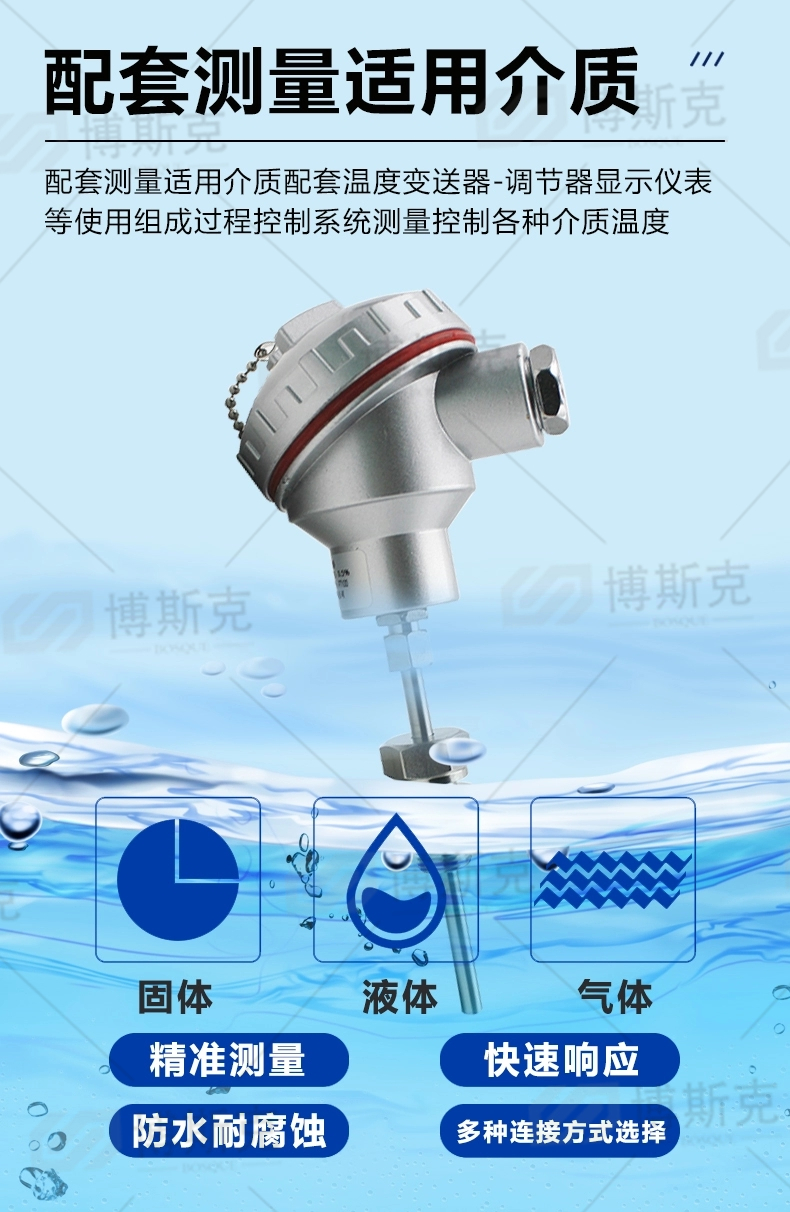 WRE-230NM耐磨热电偶(图2)