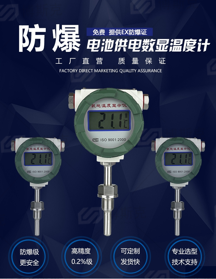 天然气就地温度显示器(图1)