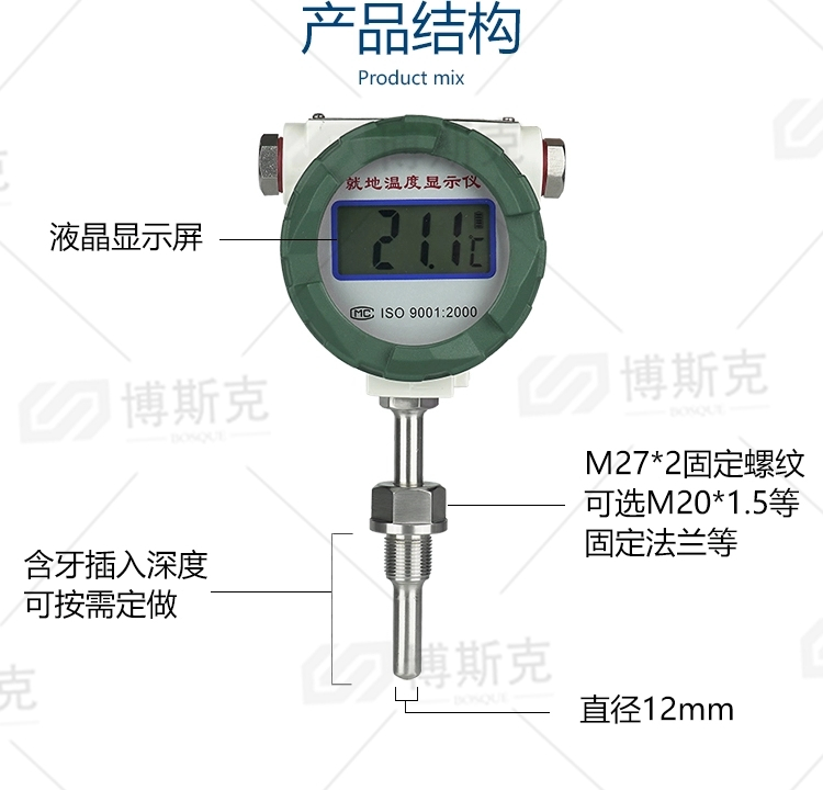 天然气就地温度显示器(图4)
